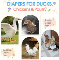 Elastic strap fastening system on poultry diaper