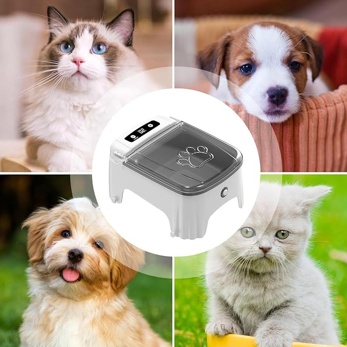 Electric Cat Feeder with Automatic Dry Food Dispensing