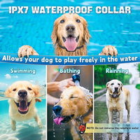 Electric dog training collar for small medium large dogs