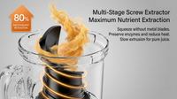 Electric fruit and vegetable juicer for everyday kitchen use
