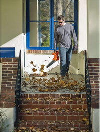 Corded leaf blower with 180 CFM airflow used for clearing debris from a driveway.