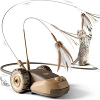 Electric Racing Car Cat Toy with Remote Control