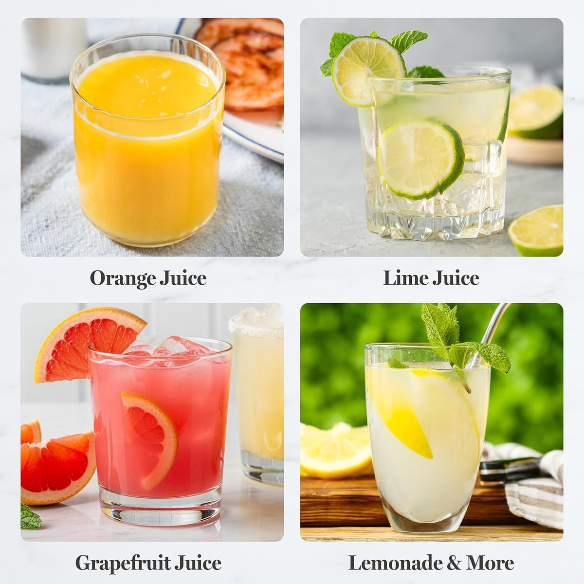 caviar citrus juice extractor appliance