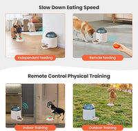 Electronic Dog Treat Dispenser For Indoor Interactive Play