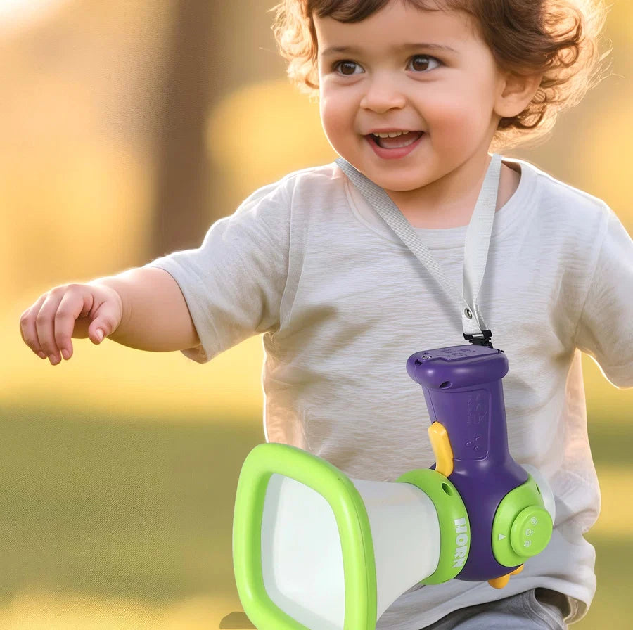 Electronic microphone toy for indoor entertainment