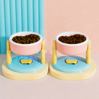 Elevated Dog and Cat Bowl Set with Suction Base