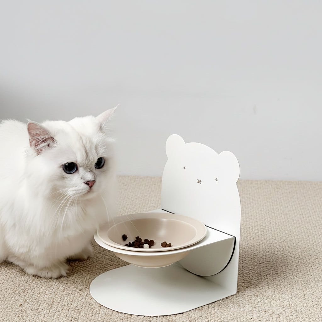 Elevated Ceramic Dog Food Bowl with Raised Base