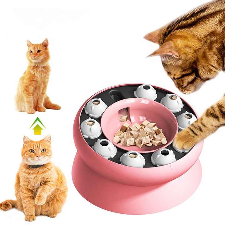 Elevated Slow Feeder Bowl for Cats and Dogs