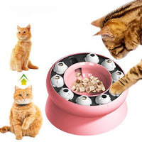 Elevated Slow Feeder Bowl for Cats and Dogs
