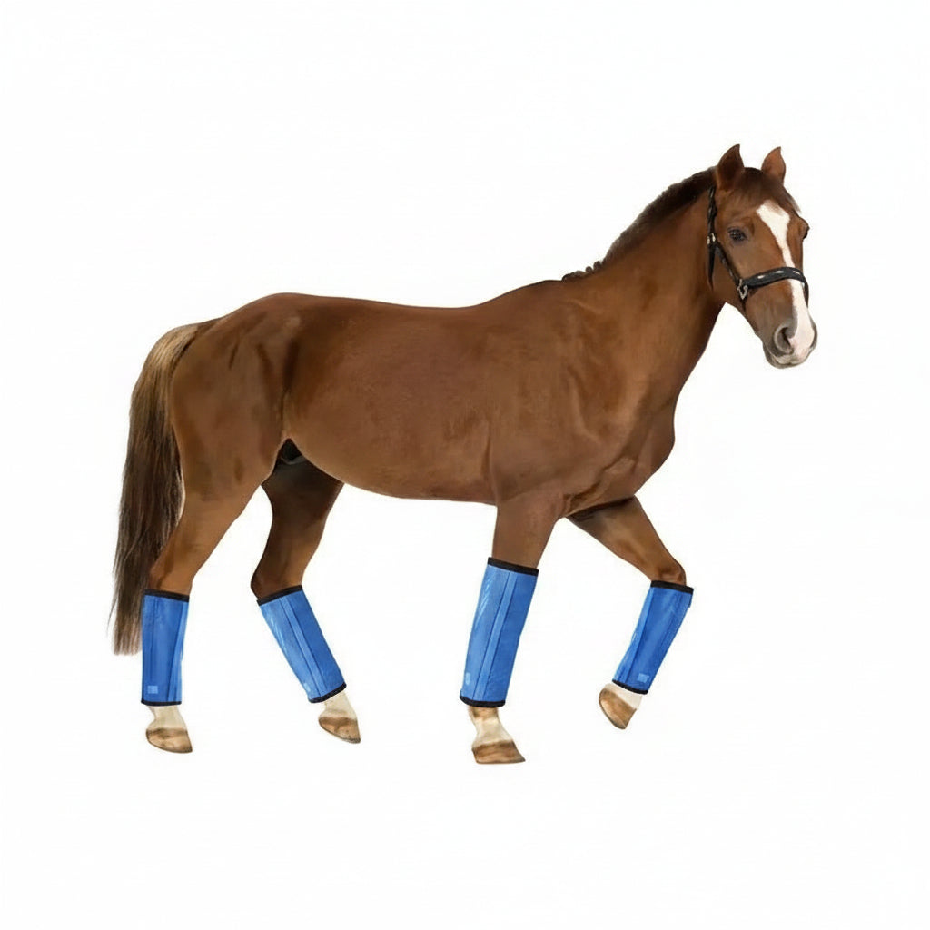 Lower leg wrap set for everyday equestrian use