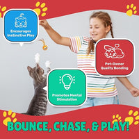 feathered kitten toy balls for indoor play and exercise
