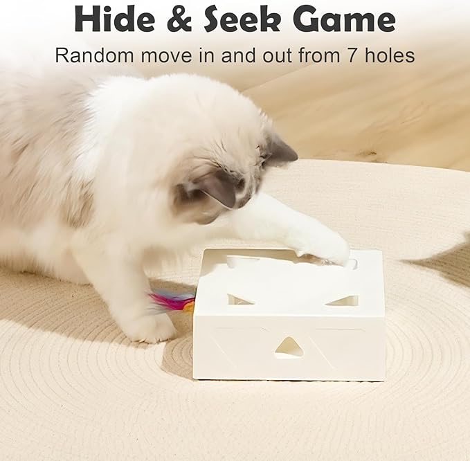 Smart Toy For Cats Encouraging Hunting And Exercise