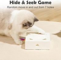 Smart Toy For Cats Encouraging Hunting And Exercise