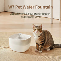 Filtered Cat Drinking Device With Replaceable Filter Element