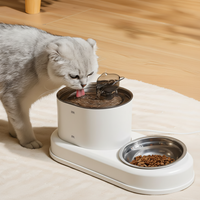 Filtered Cat Water Fountain with Automatic Water Circulation