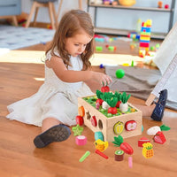 Fine motor skills wooden sorting toy montessori learning toy for toddlers 1-3 years