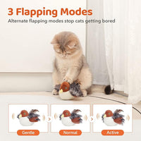 Cat interacting with touch-activated flapping bird toy