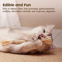 Foldable 3-Way Cat Tunnel Toy for Pets, Easy Storage and Travel