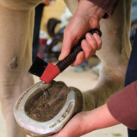 Four piece hoof brush set for stable care
