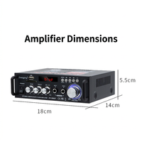High-Power Bluetooth Digital Audio Amplifier, Professional Home HIFI Power Amplifier for Speakers, Digital Power Amplifier with Bluetooth Connectivity