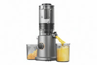 Fruit and vegetable juice extractor for home kitchen use