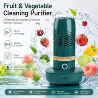 Portable washer for fruits vegetables rice and grains