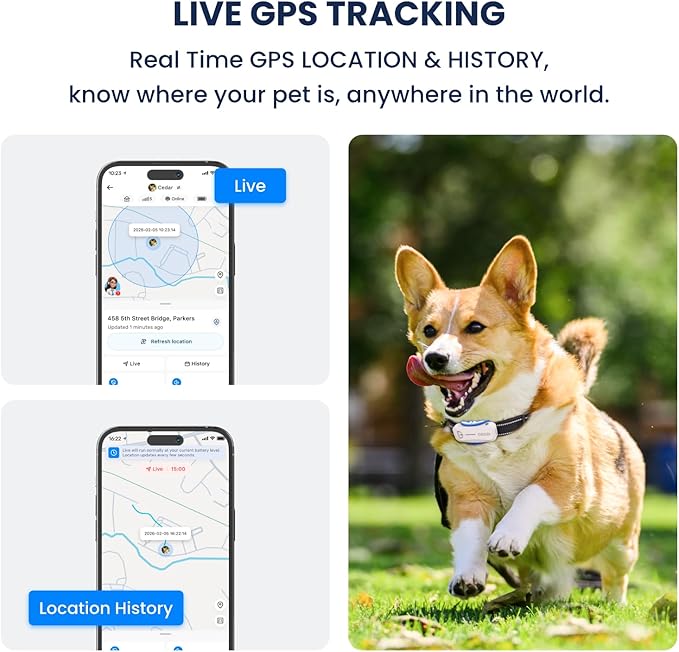 smart dog GPS tracker with geofence alerts for safety