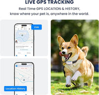 smart dog GPS tracker with geofence alerts for safety