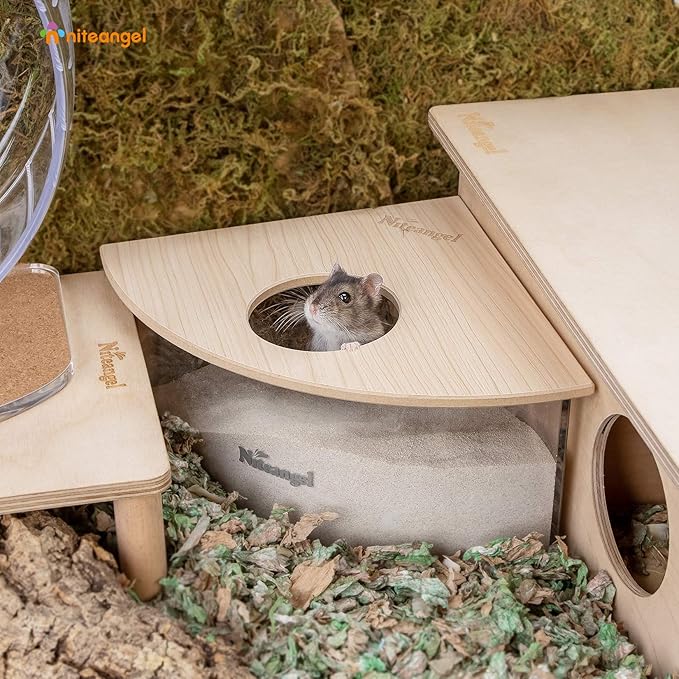 Gerbil Sand Bath Box Acrylic Grooming Container