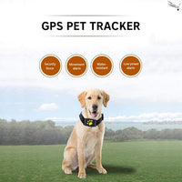 GPS Pet Tracker with Activity Monitor for Dogs
