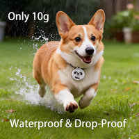 GPS pet tracker with anti-lost feature collar