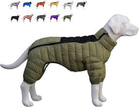 Green Dog Outdoor Vest Designed For Cool Weather Walks