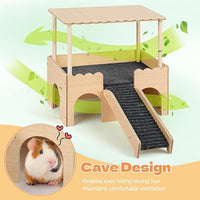 guinea pig climbing and resting hideout castle with stairs