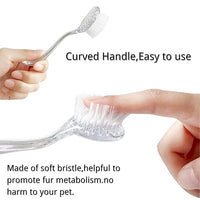 Guinea Pig Grooming Tool with Lid for Hygiene and Easy Storage