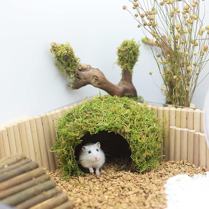 Guinea Pig Moss Hideout Natural Wooden Shelter