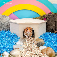 Hamster Cage Maze House Wooden Hideout for Small Animals
