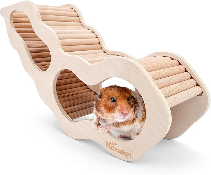Hamster House with Climbing Ladder and Secret Tunnel Hideout