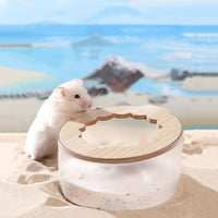 Hamster Sand Play Box for Dwarf and Syrian Hamsters