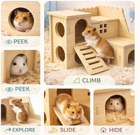 Hamster Slide House with Double Decker Maze Design