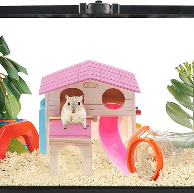 Hamster Slide Ladder House for Play and Rest