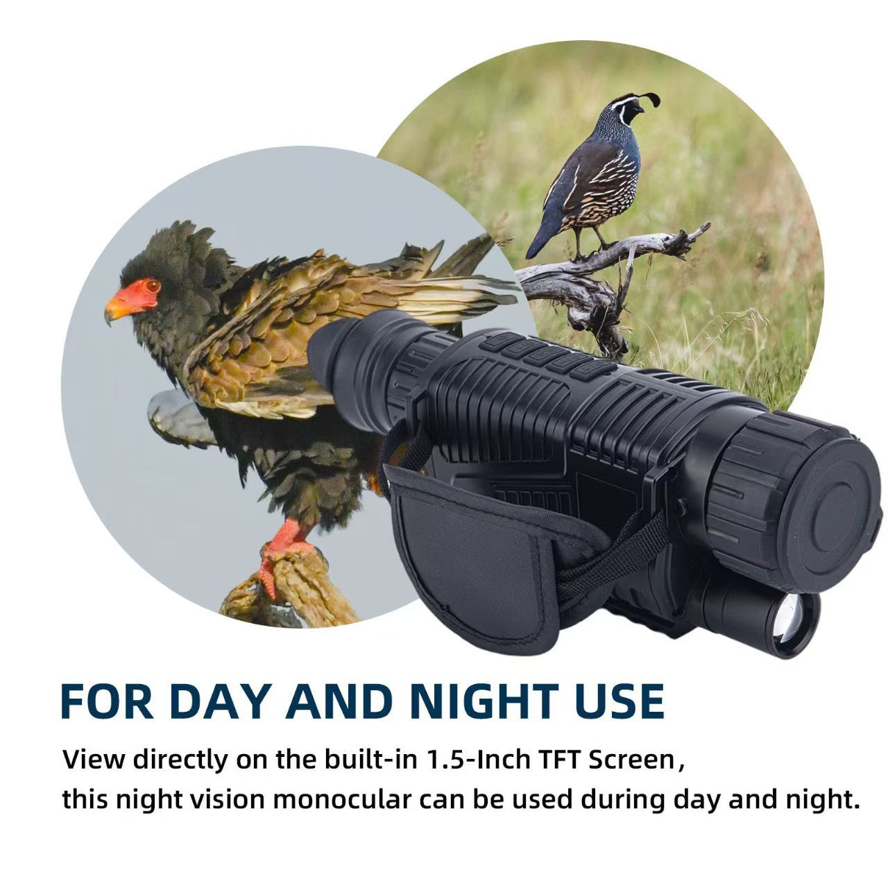 Handheld outdoor viewer with digital imaging