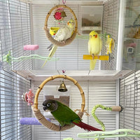 hanging bird swing for parrots conures and small birds