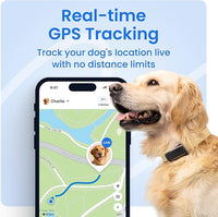 dog GPS tracker monitoring heart rate and respiratory rate