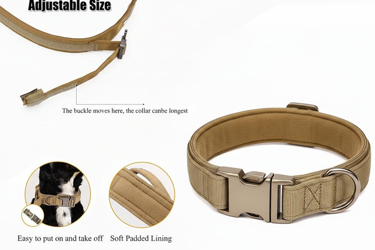 Heavy-duty adjustable nylon dog collar for safe and comfortable walks