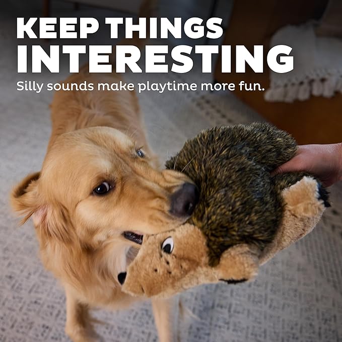Front view of a stuffed hedgehog dog toy
