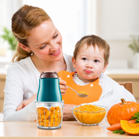 Homemade baby meal blender for processing soft fruits and cooked vegetables
