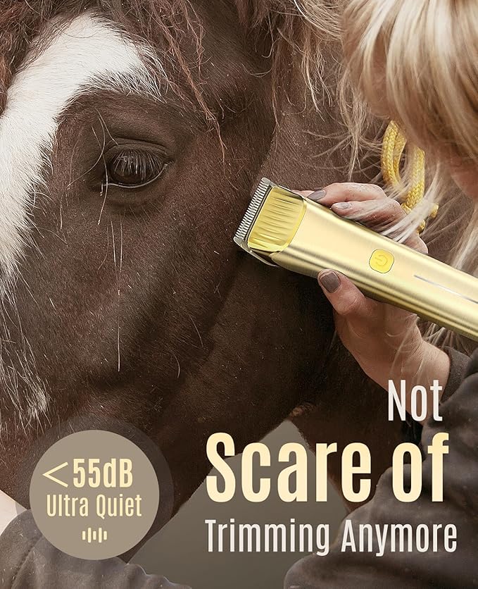 Horse coat care tool set for stable grooming