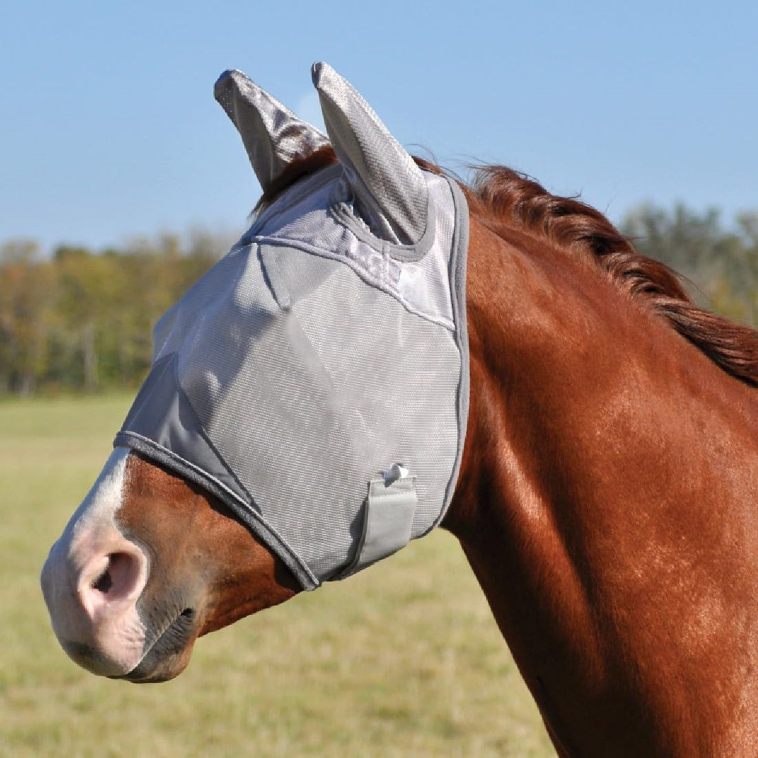 Gray horse fly mask with ears and fine mesh design