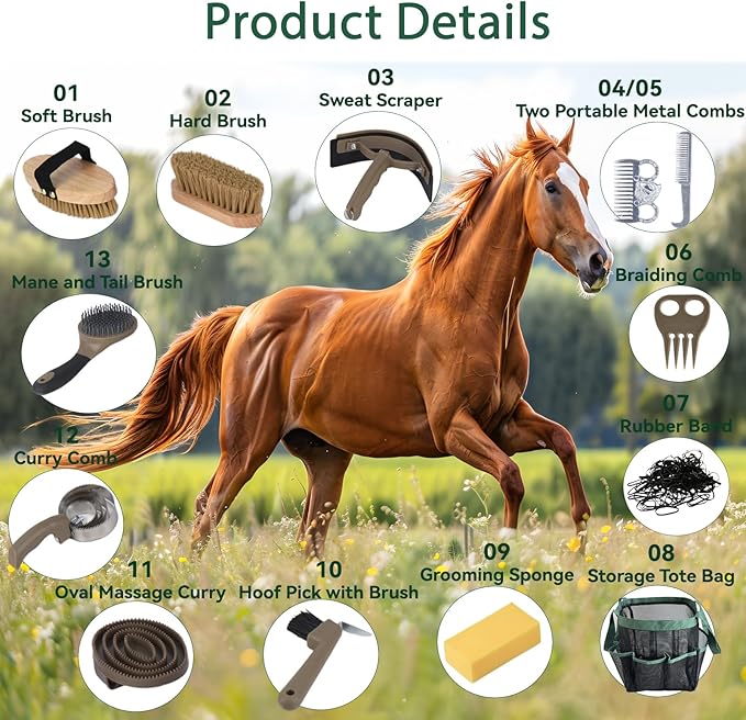 Horse grooming brush and curry comb set for horses and ponies