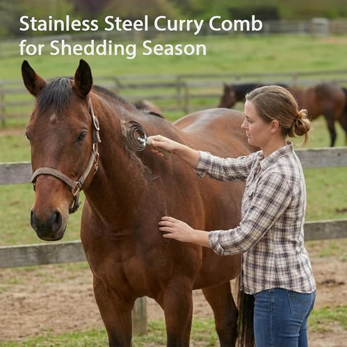 Horse grooming brushes and curry comb set for regular cleaning